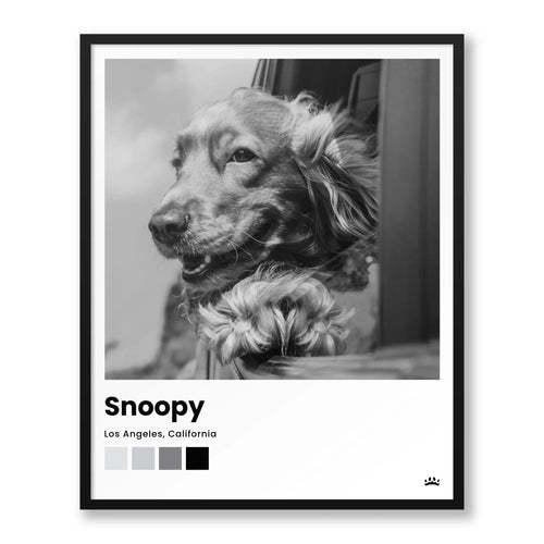 8x10 Framed Poster Black Frame Vertical