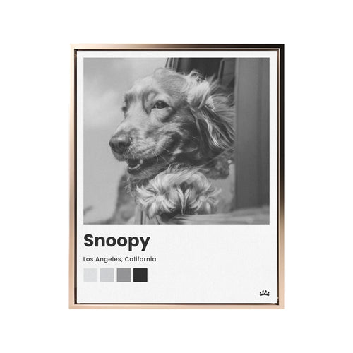 Framed Canvas Black 8x10 Base Mock Up