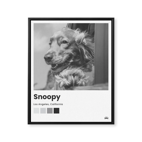 Framed Canvas Black 8x10 Base Mock Up
