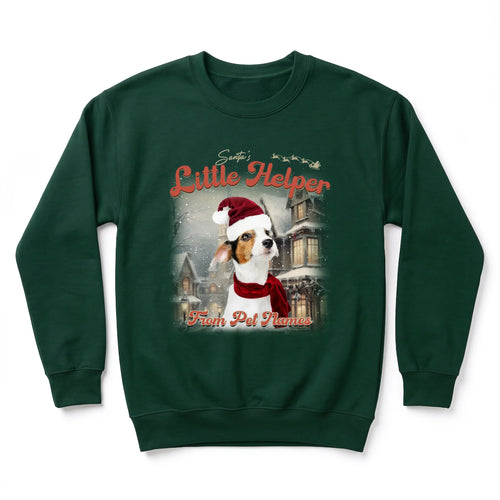 Children's Custom Vintage Christmas Pet Sweatshirt personalized with your pet's photo, design example 3