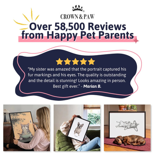 INFO - Review - New Wall Art