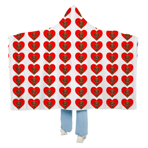 Hooded Blanket 1 A