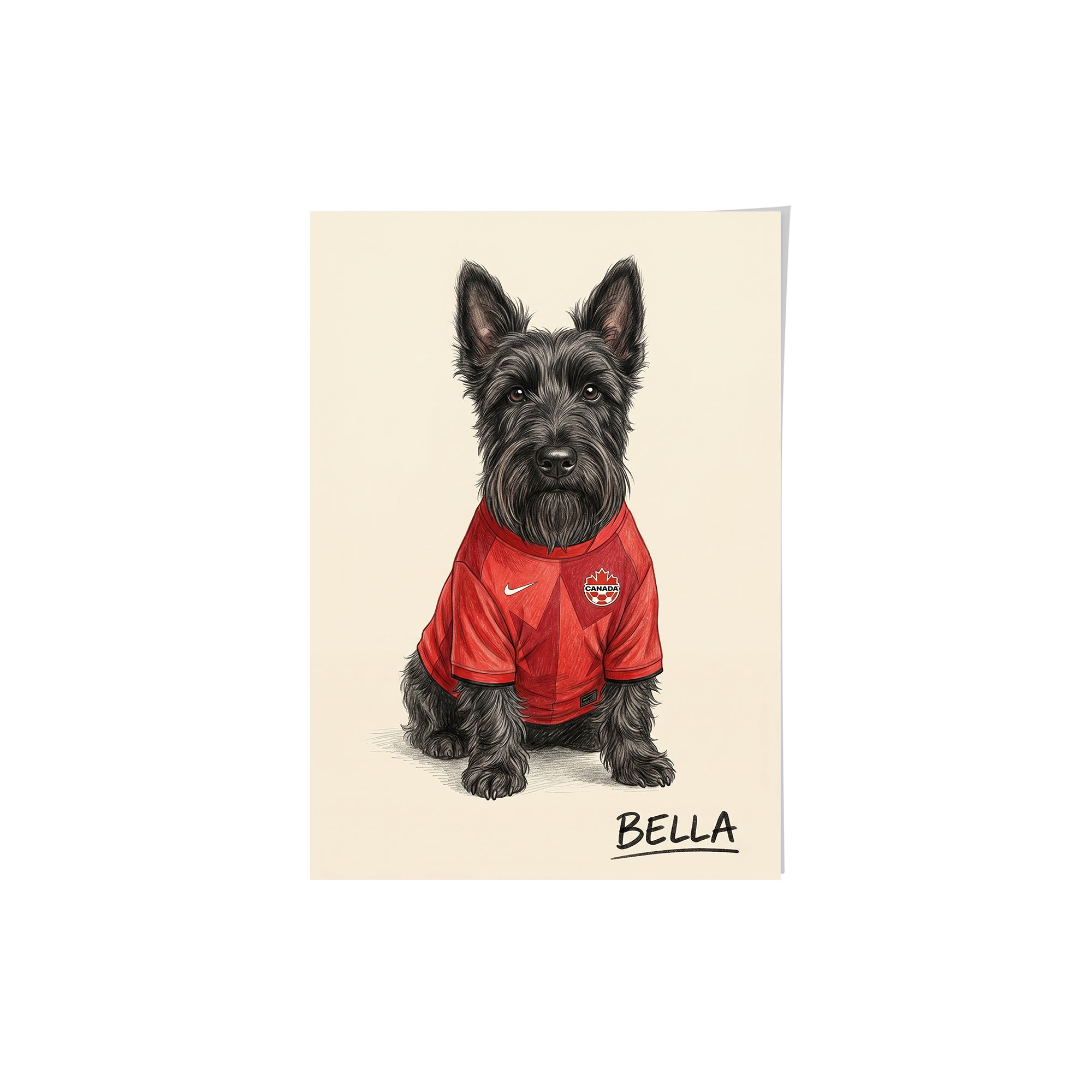 World Cup 2026 Pet Portrait