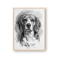 Charcoal Pet Portrait