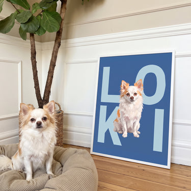 Contemporary Pet Portrait