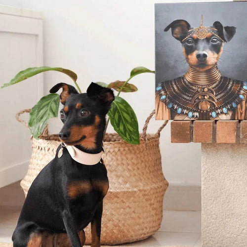 Crown and Paw - Canvas The Nubian Queen - Custom Pet Canvas