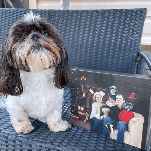 Crown and Paw - Canvas The Family Christmas (Three Pets) - Custom Pet Canvas