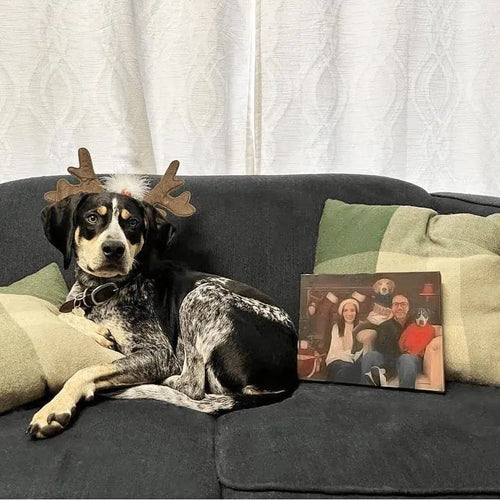 Crown and Paw - Canvas The Family Christmas (Three Pets) - Custom Pet Canvas