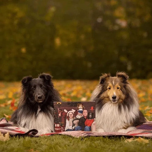 Crown and Paw - Canvas The Family Christmas (Three Pets) - Custom Pet Canvas