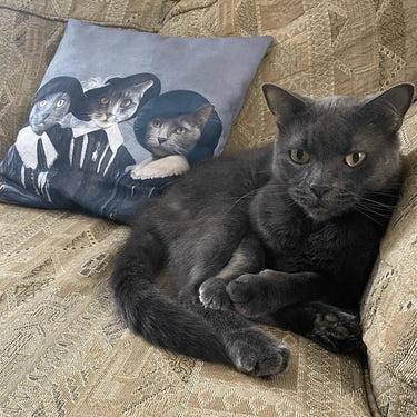 Three Musketeers - Custom Throw Pillow