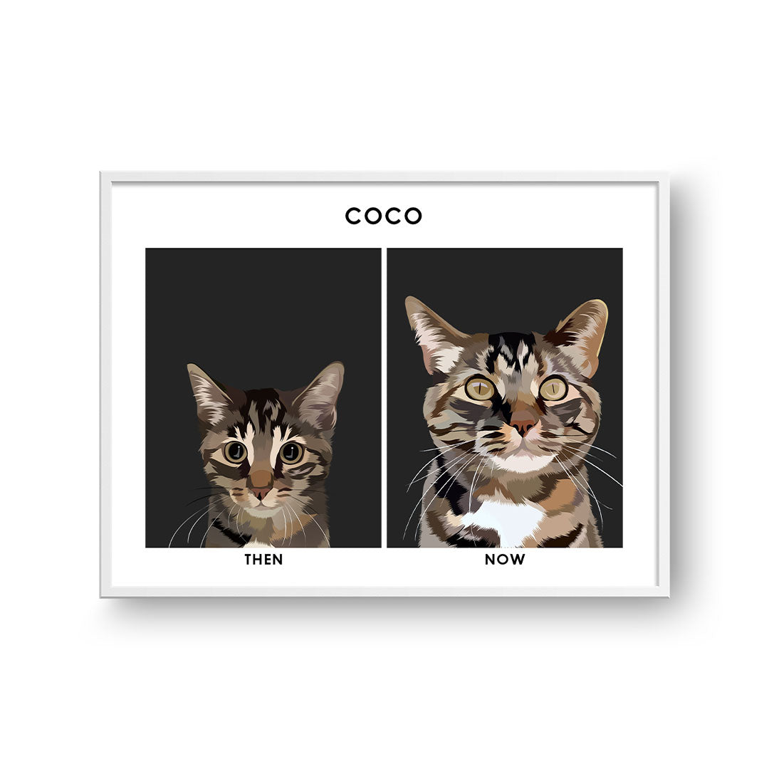 Kitten to Adult Cat Portrait