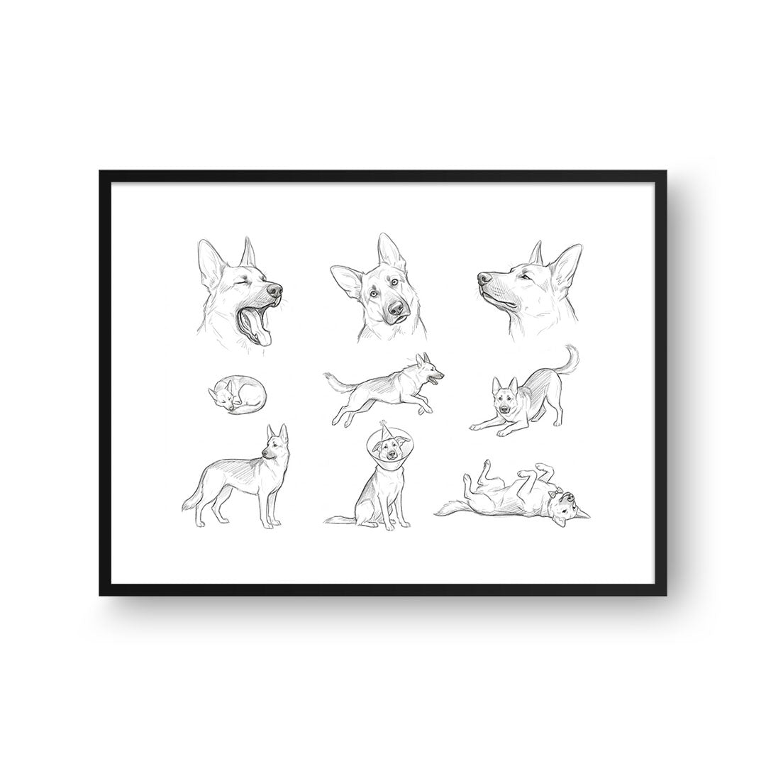 Pet Poses Sketch
