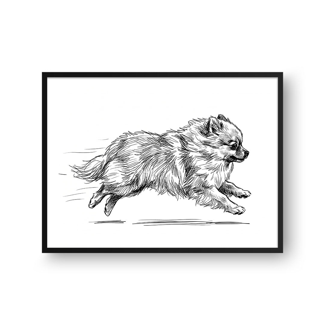 Zoomies Portrait