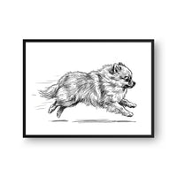 Zoomies Portrait