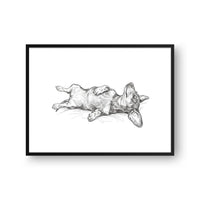 Belly Up Sleeping Pet Portrait