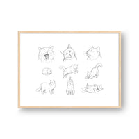 Pet Poses Sketch