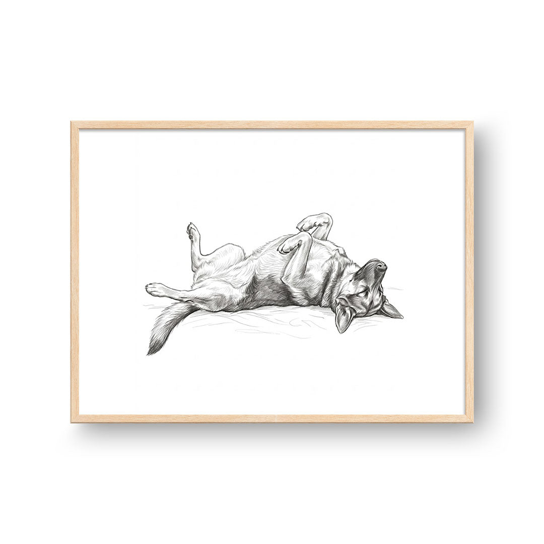 Belly Up Sleeping Pet Portrait