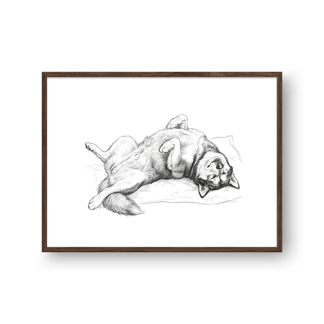 Belly Up Sleeping Pet Portrait