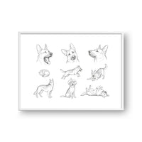 Pet Poses Sketch