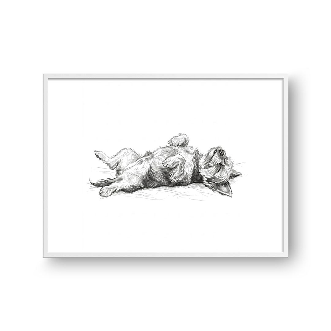Belly Up Sleeping Pet Portrait