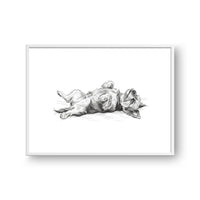 Belly Up Sleeping Pet Portrait