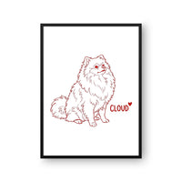 Minimalist Pet Portrait