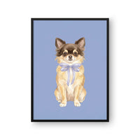 Bow Tied Pet Portrait