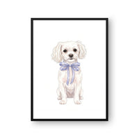 Bow Tied Pet Portrait