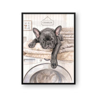 Washing Machine Pet Portrait