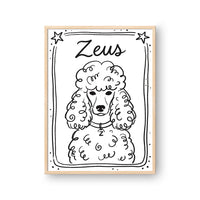 Mystical Doodle Pet Portrait