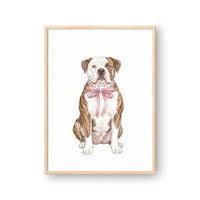 Bow Tied Pet Portrait