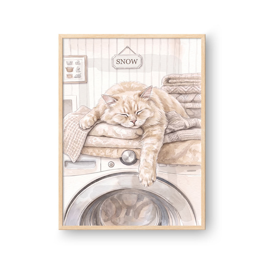 Washing Machine Pet Portrait