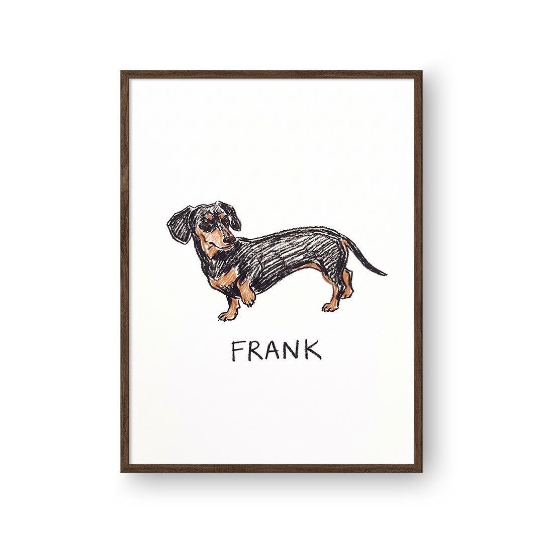 Crayon Doodle Pet Portrait