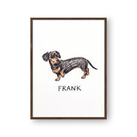 Crayon Doodle Pet Portrait