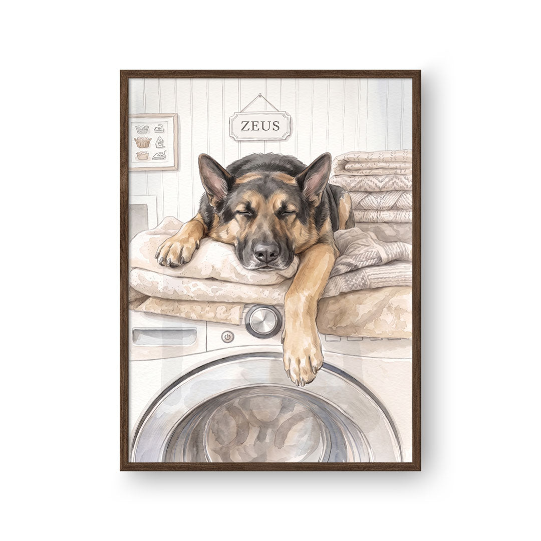 Washing Machine Pet Portrait