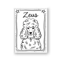 Mystical Doodle Pet Portrait