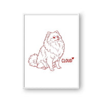Minimalist Pet Portrait