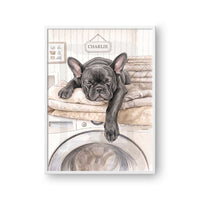 Washing Machine Pet Portrait