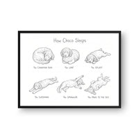 Sleeping Poses Portrait