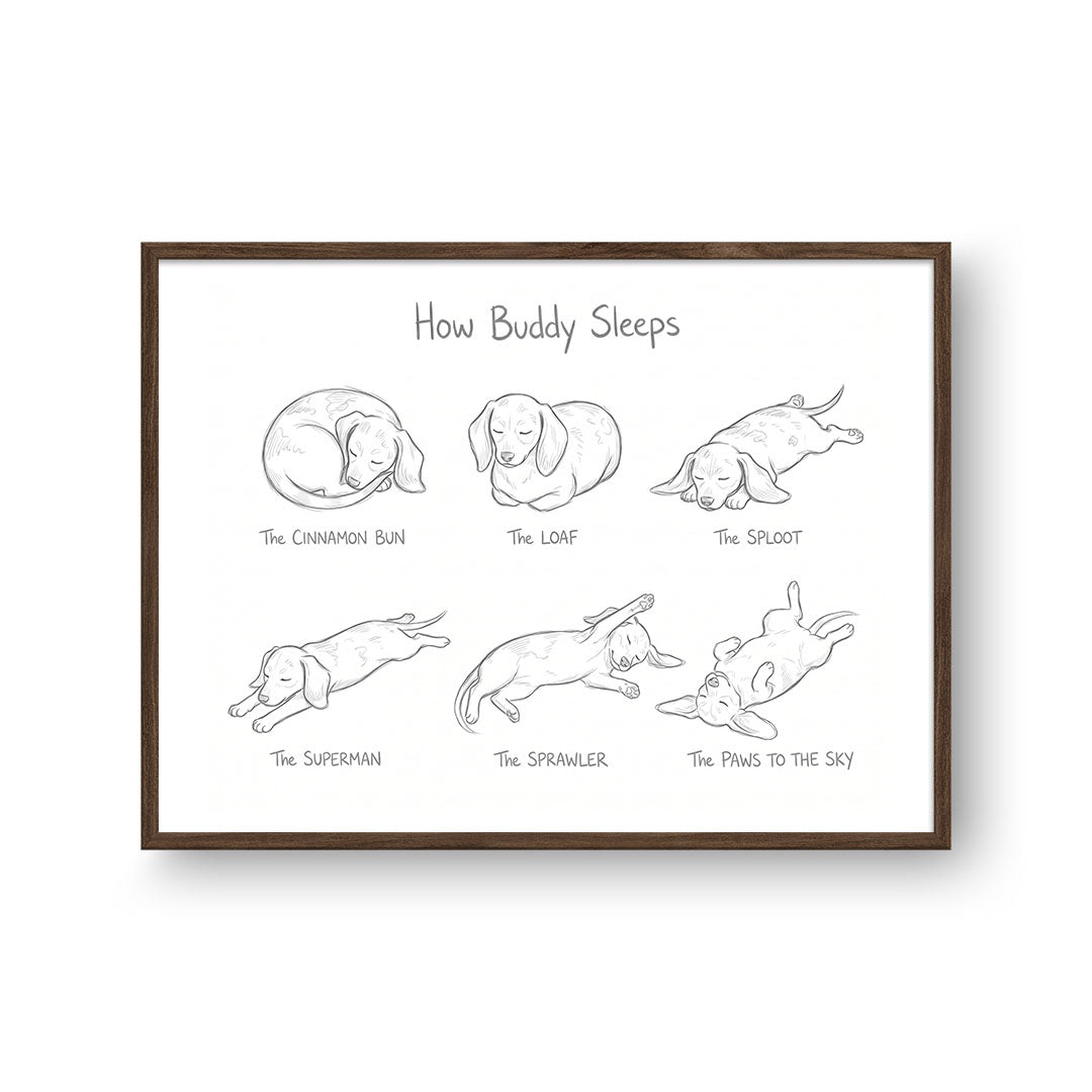 Sleeping Poses Portrait