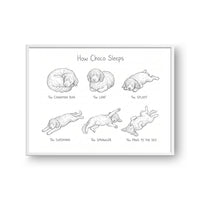 Sleeping Poses Portrait