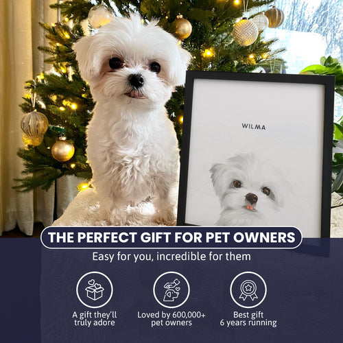 Step Brothers - Custom Pet Canvas