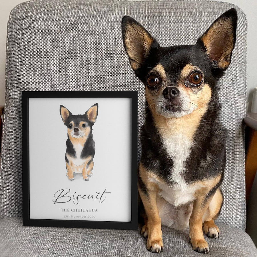 Hand Drawn Pet Portrait - One Pet