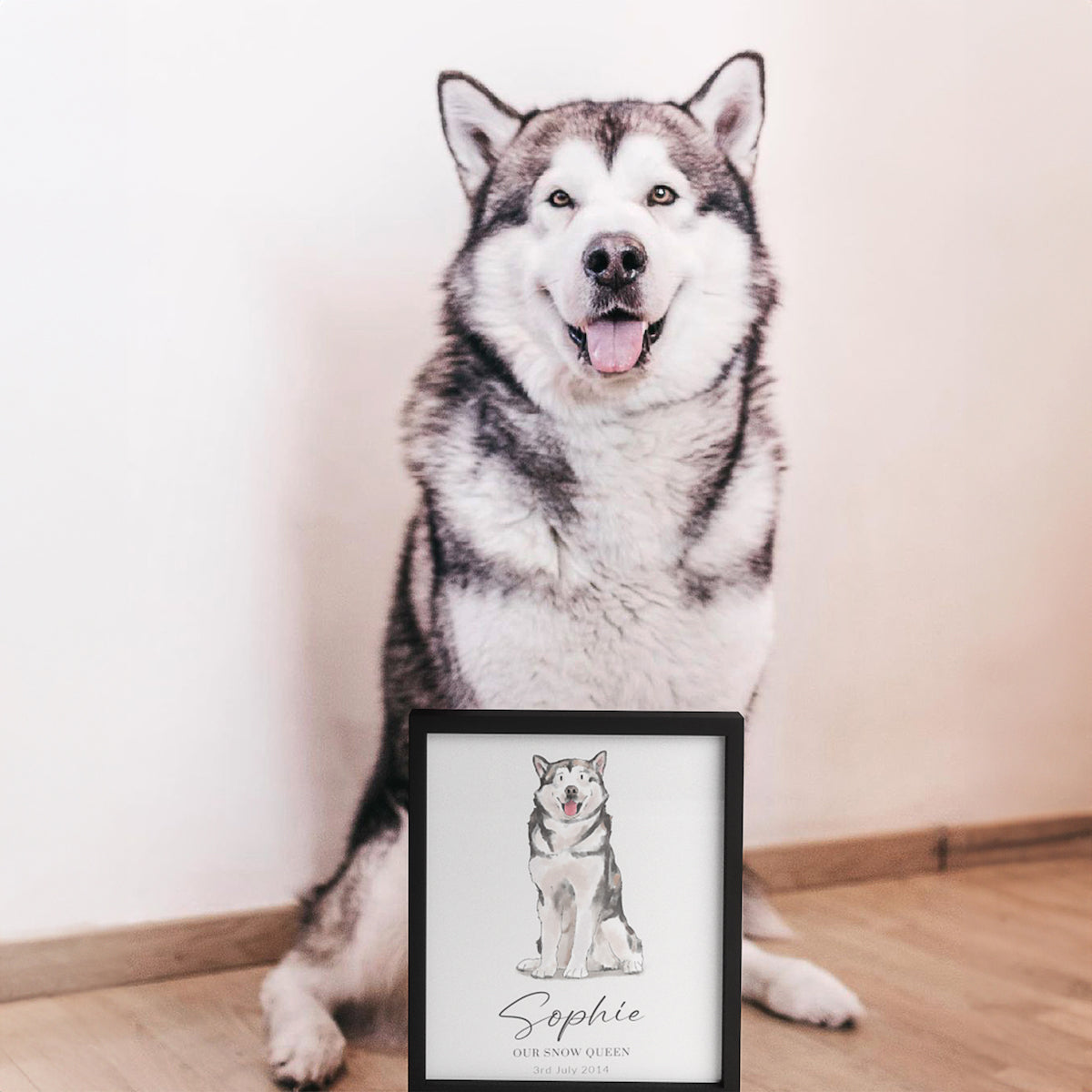 Hand Drawn Pet Portrait - One Pet