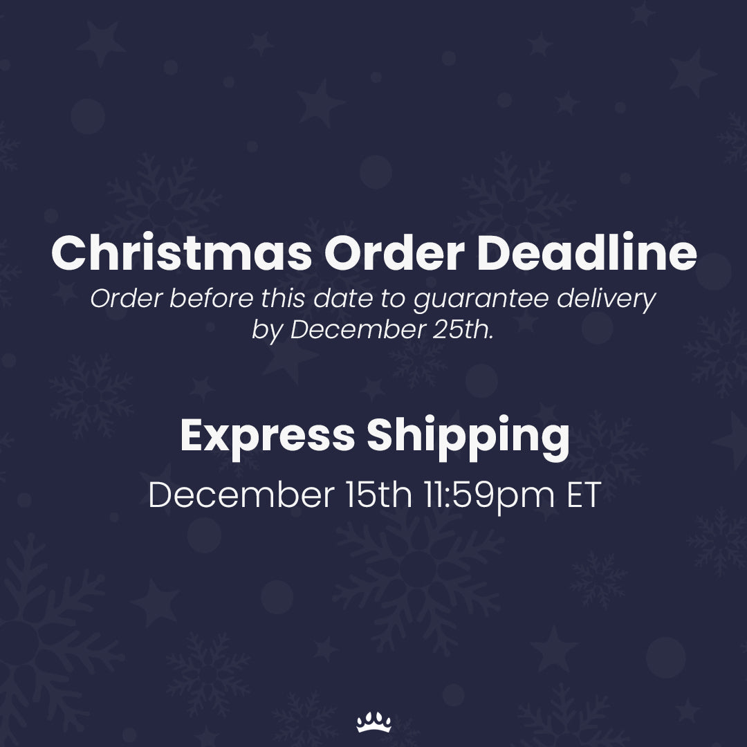 Modern Pet Portrait - Four Pets