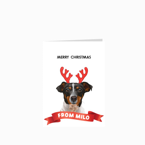 Modern Pet Portrait Christmas Cards - Custom Greetings Cards