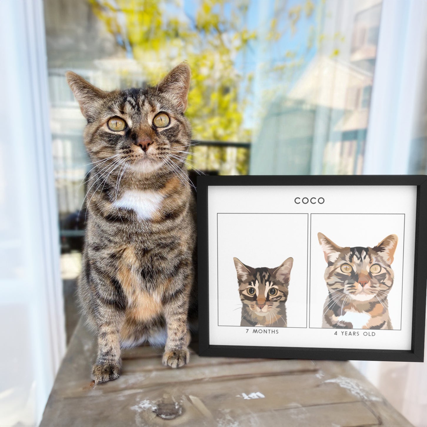 Kitten to Adult Cat Portrait