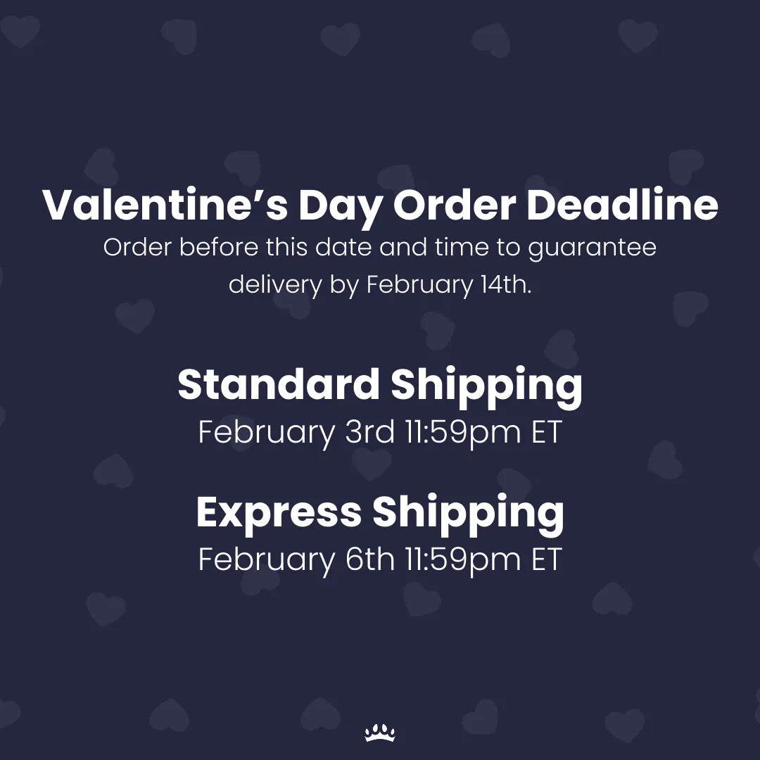 Modern Pet Portrait - Four Pets