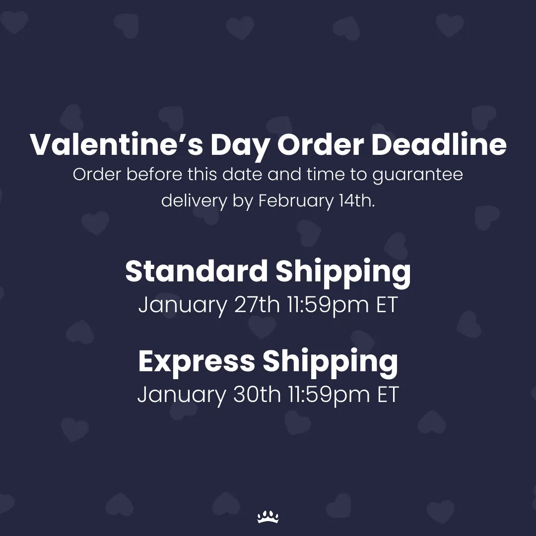 Night Light LED Pet Portrait - One Pet