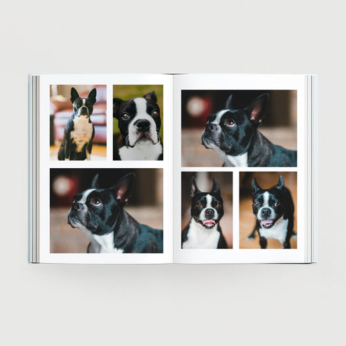 Custom Pet Photobook